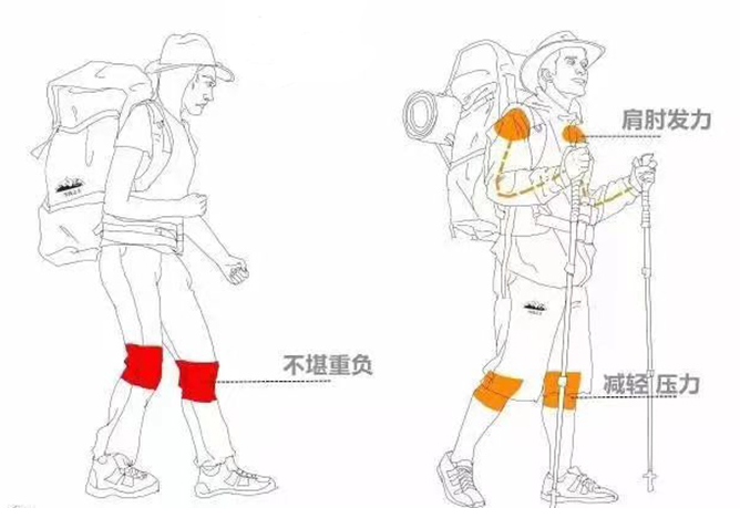 1708576108646111.png image.png